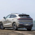 خرید لاماری